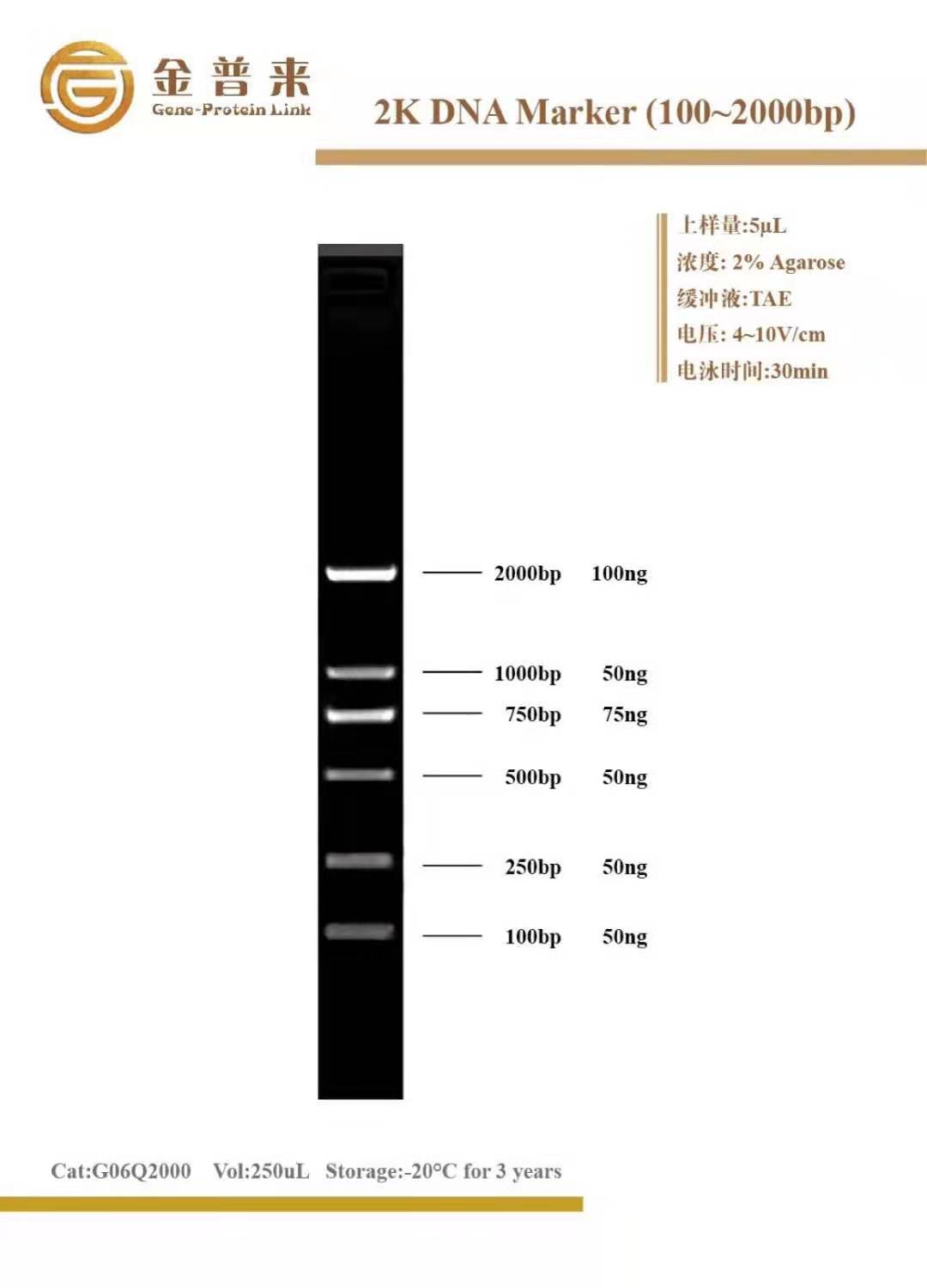2000dnamaker条带图,5000dnamaker条带图 条单一的dna 条带,分别为:100bp,250bp, 500bp,750bp,1000bp,2000