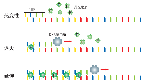 SYBR Green qPCR Mix限时特惠中